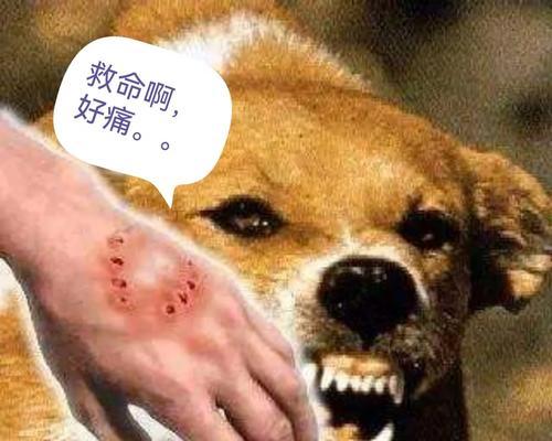 文章详情图片