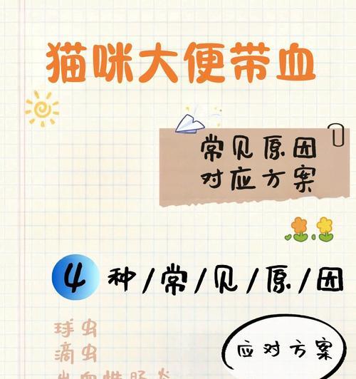 文章详情图片