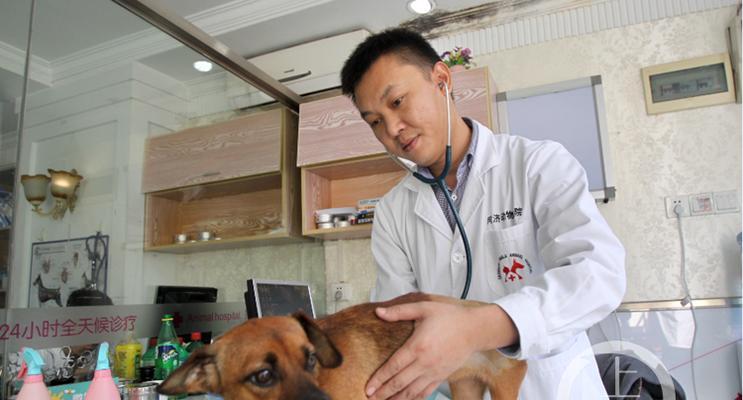 文章详情图片