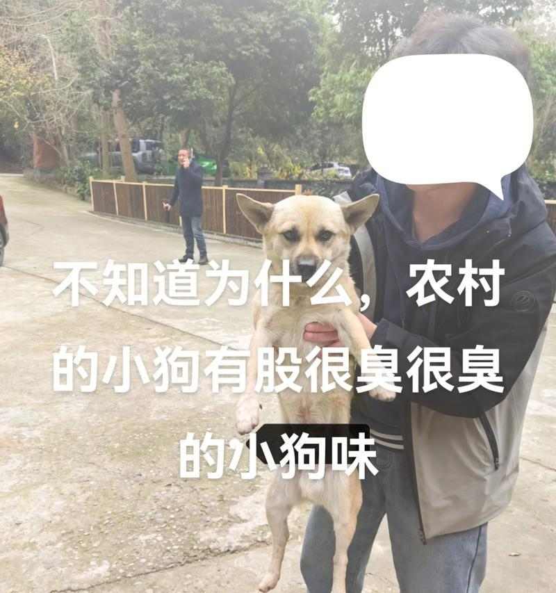 文章详情图片