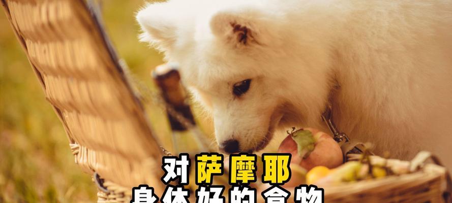 文章详情图片