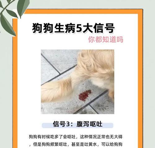 探讨狗生病的常见症状及应对方法（狗生病的迹象和如何帮助你的宠物恢复健康）