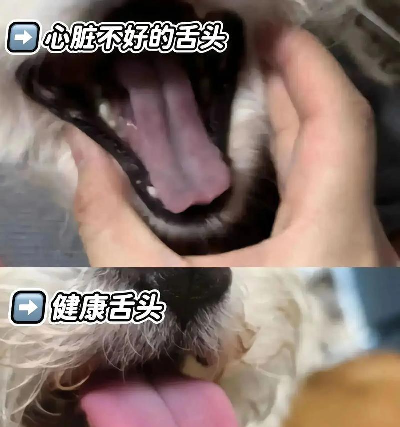 文章详情图片