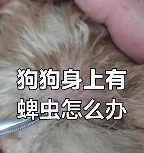 文章详情图片