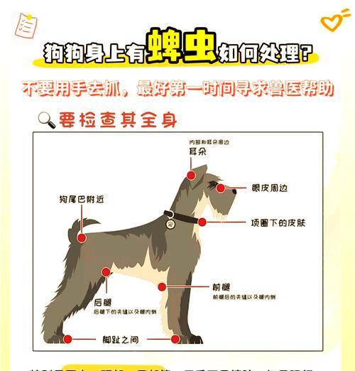 文章详情图片