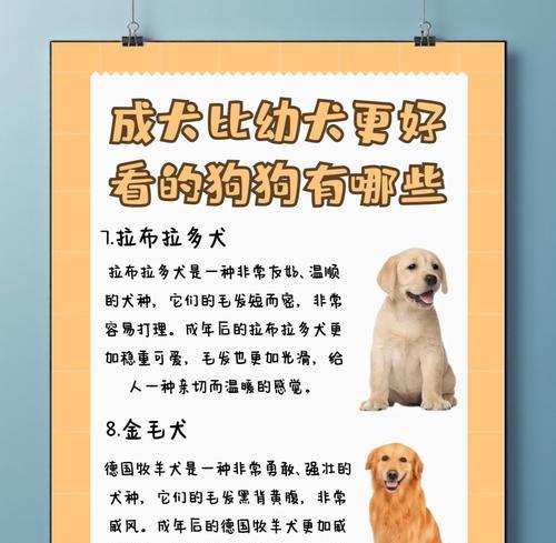 文章详情图片