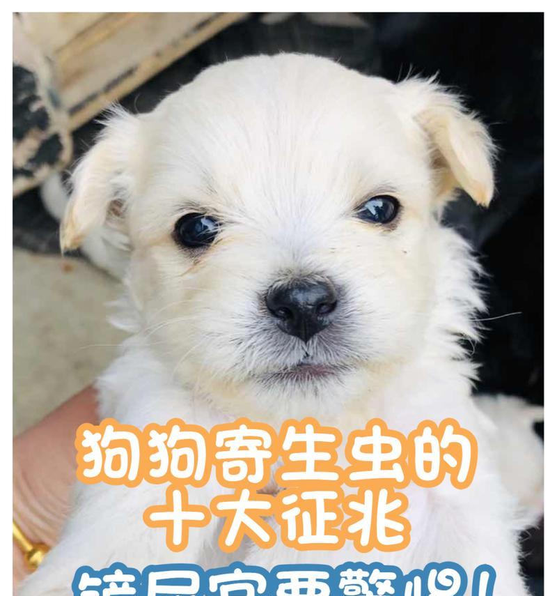 文章详情图片