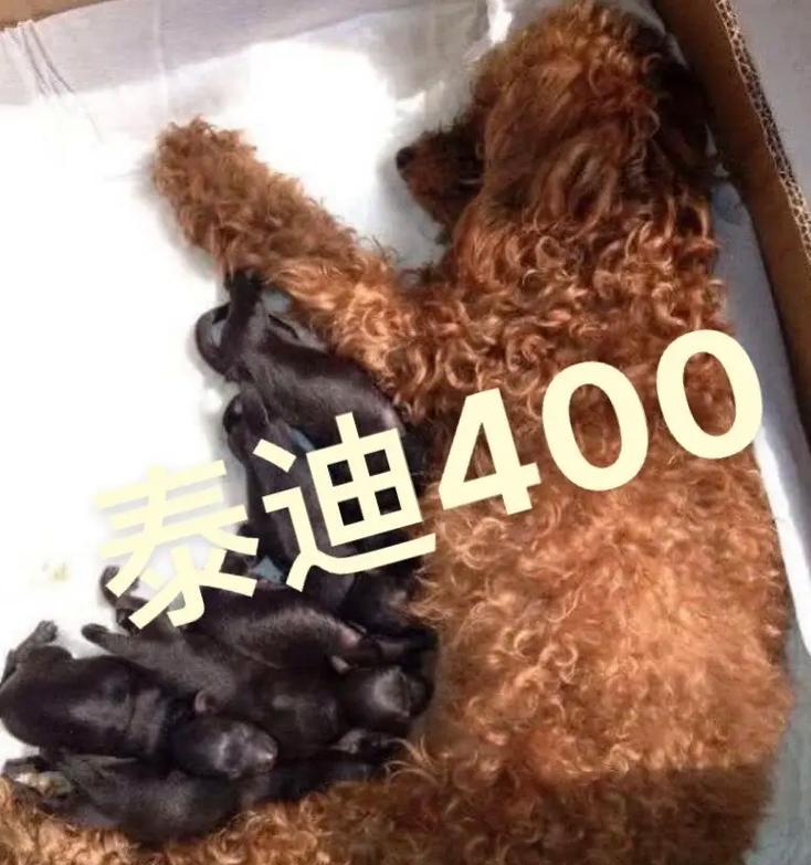 文章详情图片