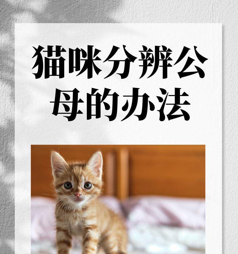 文章详情图片