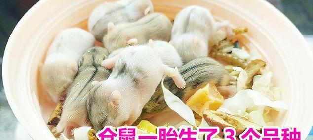 文章详情图片