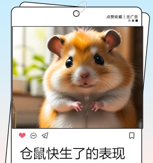 文章详情图片