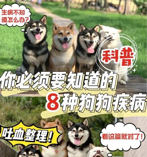 文章详情图片