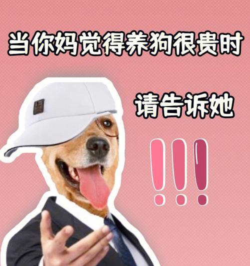 养茶杯犬的必备饲养技巧（掌握这些关键技巧，让你的茶杯犬健康快乐）