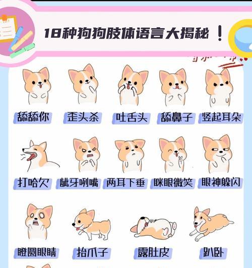 文章详情图片
