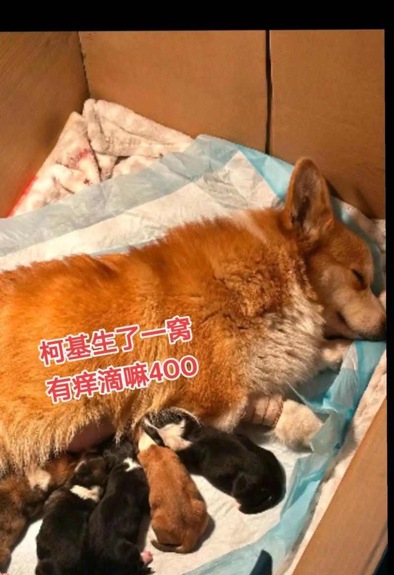 文章详情图片