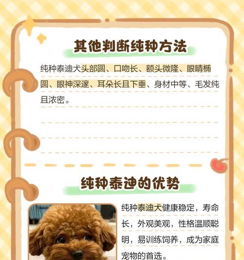 文章详情图片
