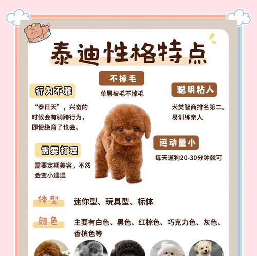 文章详情图片