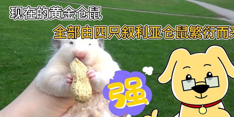 文章详情图片