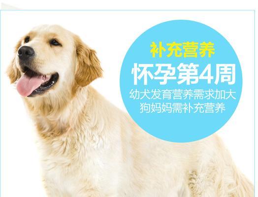 文章详情图片