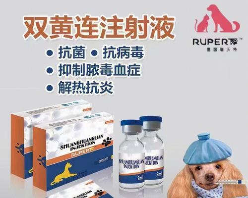 文章详情图片