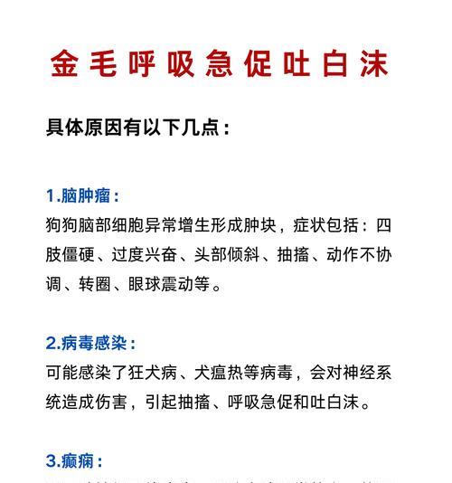 文章详情图片