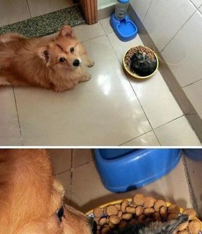 文章详情图片