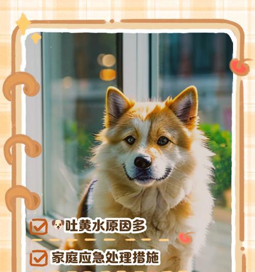 文章详情图片