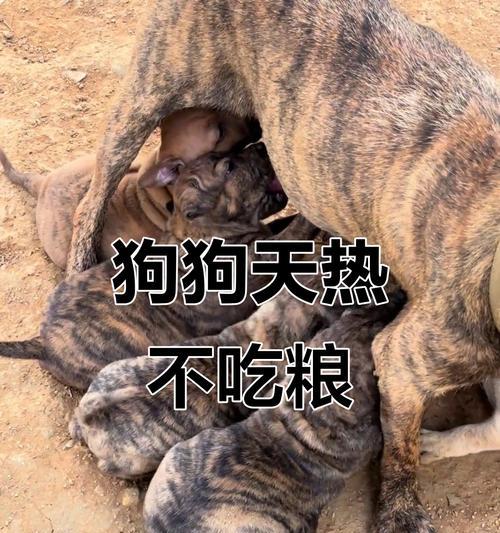 文章详情图片