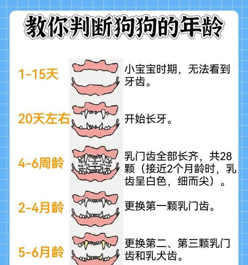 文章详情图片