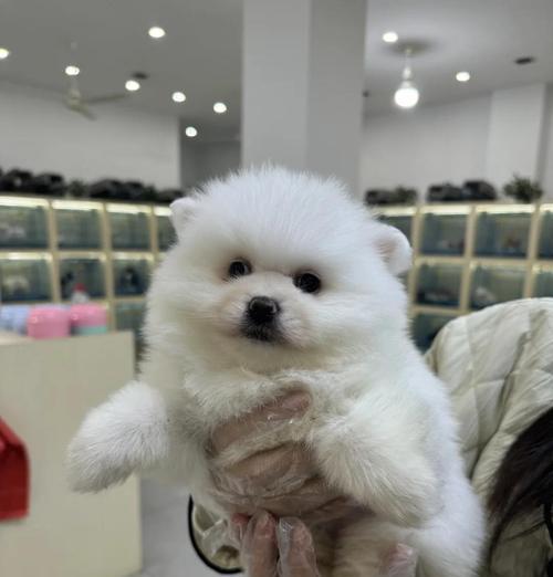 文章详情图片