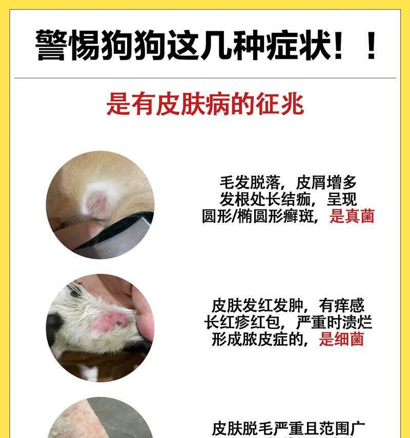 文章详情图片