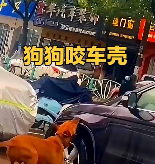 文章详情图片