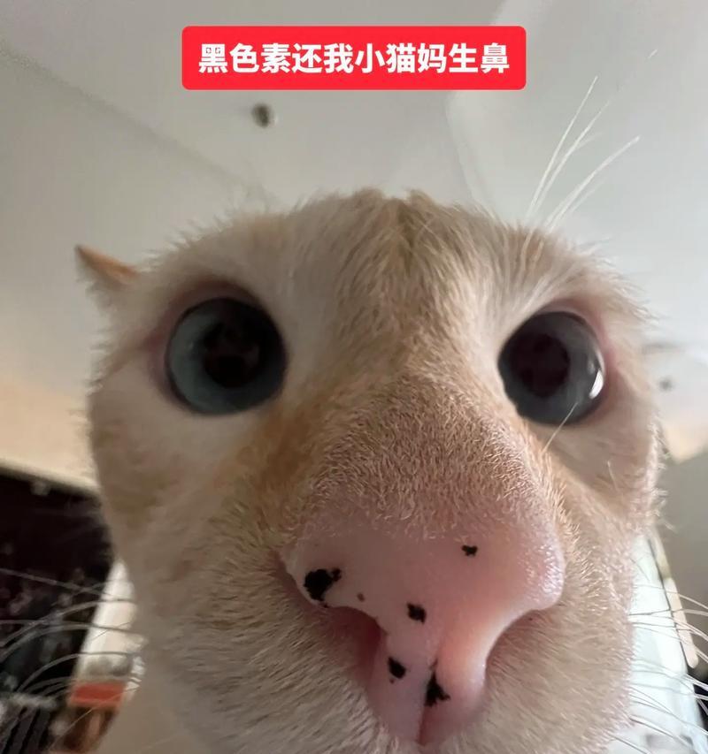 文章详情图片