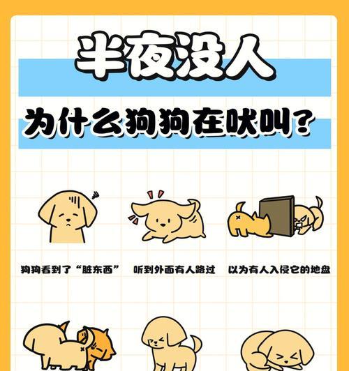 文章详情图片