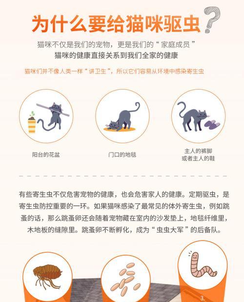 文章详情图片