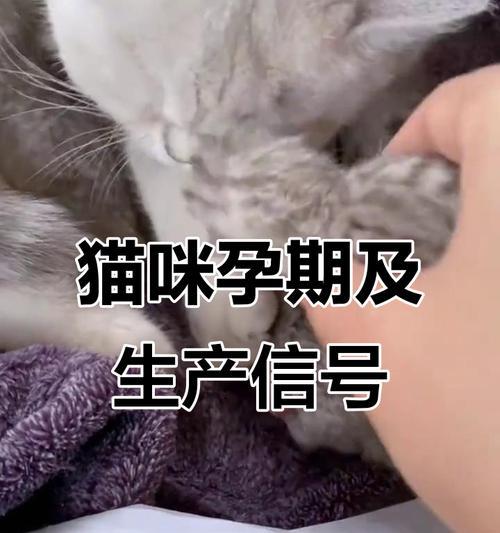 文章详情图片