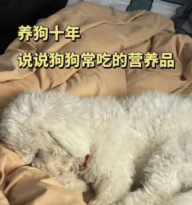 文章详情图片