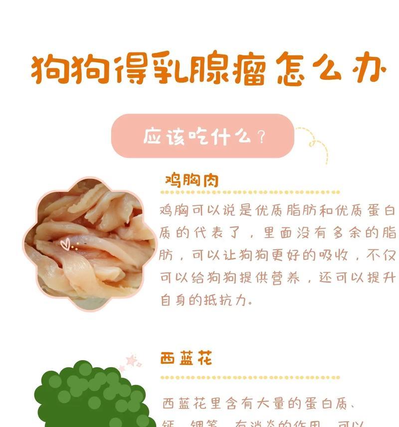 文章详情图片