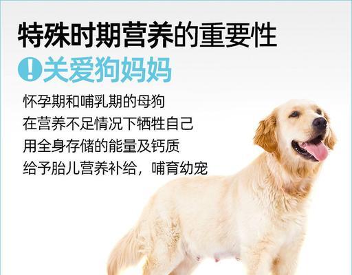 文章详情图片