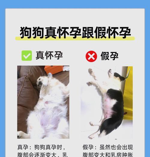 文章详情图片