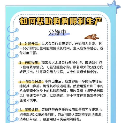 文章详情图片