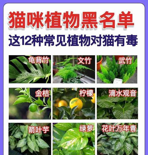 文章详情图片