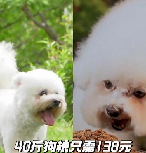 文章详情图片