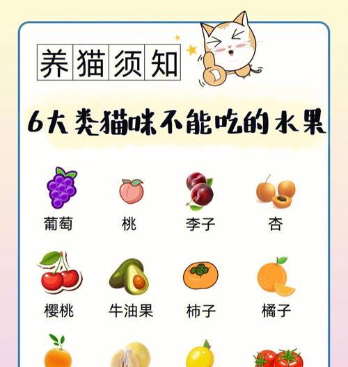 文章详情图片