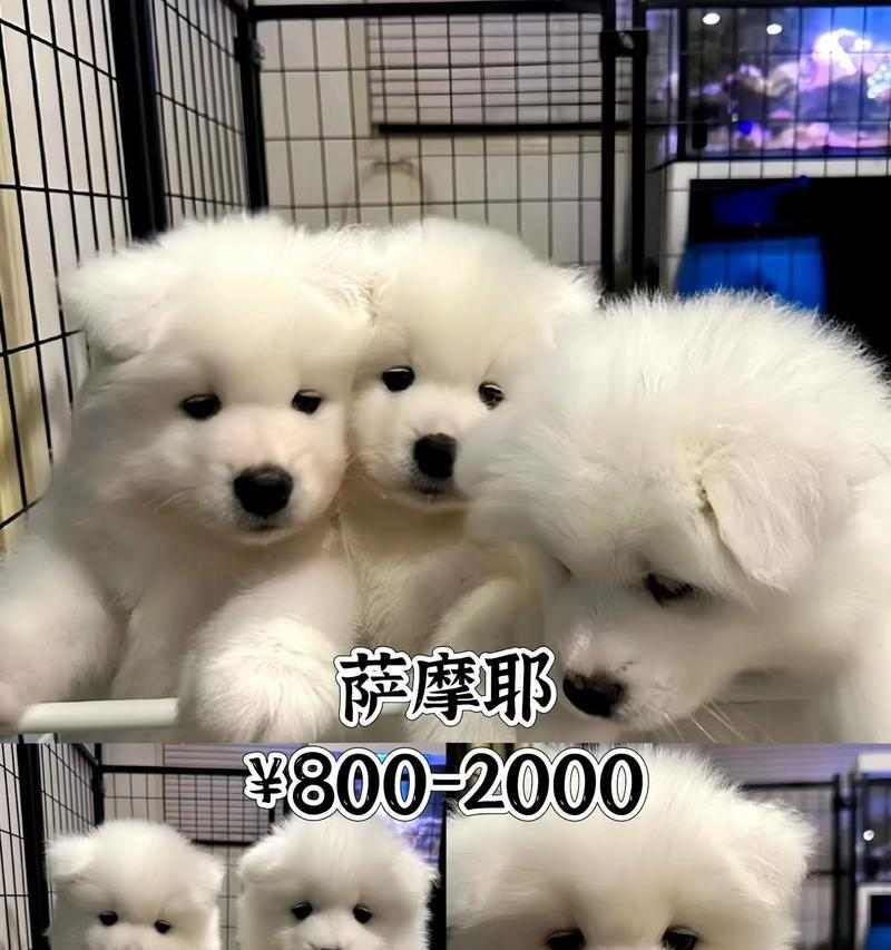 文章详情图片