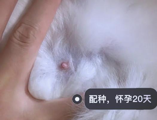 文章详情图片