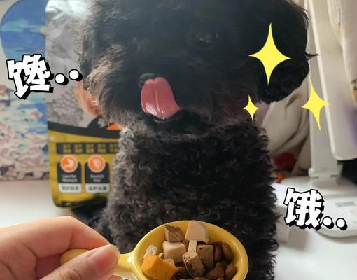 文章详情图片