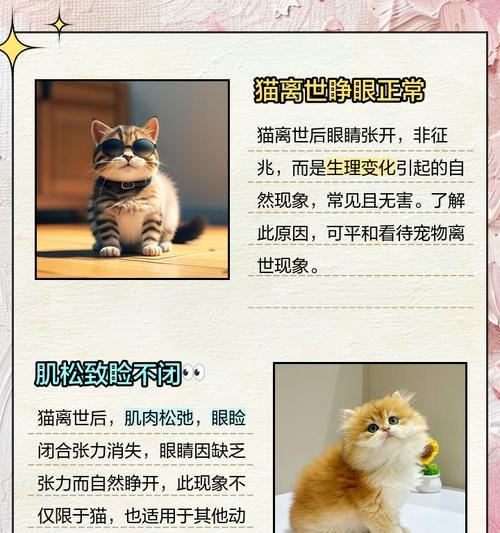 文章详情图片