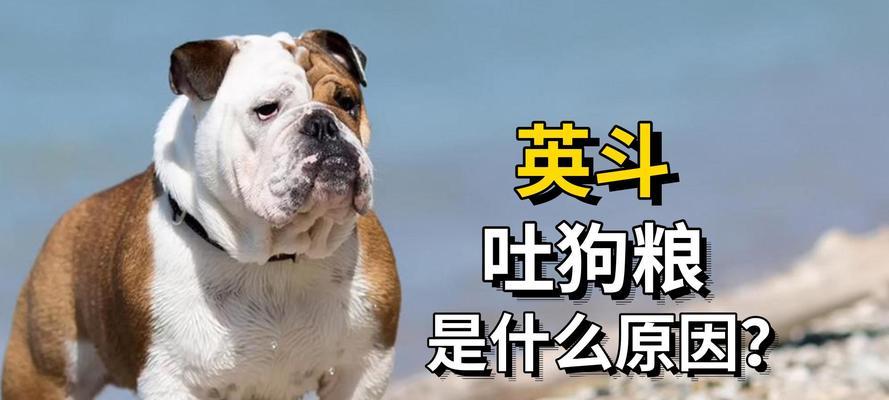 为什么狗狗需要吃狗粮？（探索狗粮在狗狗饮食中的重要性）