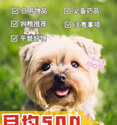 文章详情图片